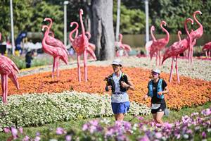 BIB: 
                            <button type="button" onclick="openModal(27793638)" class="btn btn-primary btn-sm float-right btn-popup" data-toggle="modal" data-target=".modal-high-quality">
                        <i class="fas fa-shopping-cart"></i> Add to Cart
                    </button>
                                            <button type="button" onclick="isThisMe(27793638, true)" class="btn btn-success btn-sm float-right btn-popup btn-isme hidden" data-toggle="tooltip" data-placement="bottom" title="นี่คือรูปของคุณใช่ไหม คลิกที่นี่เพื่อเอาเข้าอัลบั้ม">
                        <i class="fas fa-plus"></i> Add to album
                    </button>
                    <button type="button" onclick="isThisMe(27793638, false)" class="btn btn-warning btn-sm float-right btn-popup btn-isnotme hidden">
                        <i class="fas fa-ban"></i> Remove from album
                    </button>